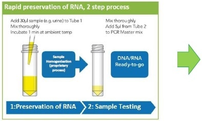 Rapid sample processing. Urine samples were collected in preservation reagent immediately prior to storage for stability assessment.