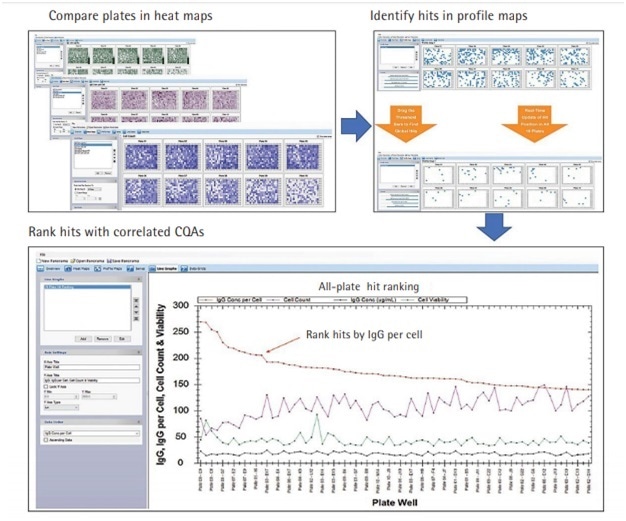 Cross-Plate Data Analysis Identifying Best Productive IgG Clones in a Screening Campaign.