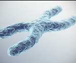 Researchers discover protein responsible for X chromosome inactivation