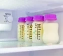 Breast milk bacteria help shape infant gut microbiome development