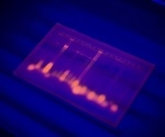 Multiplex PCR