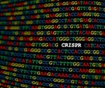 CRISPR-Cas3: A safer gene-editing tool shows promise for transthyretin amyloidosis treatment