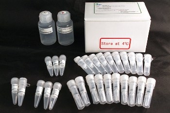 S-BIO’s EZGlyco mAb-N Kit with 2-AB