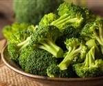 Compound found in broccoli is a powerful disease fighter