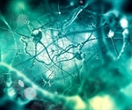 Breakthrough study identifies potential treatment for schizophrenia symptoms