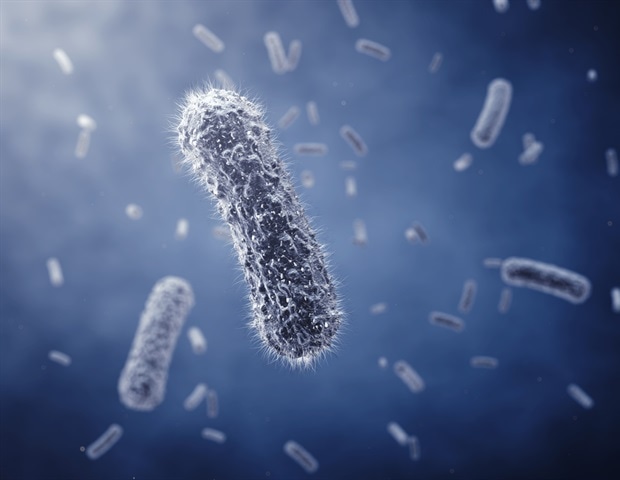 Lund researchers create "recipe book" for reprogramming immune cells to fight disease