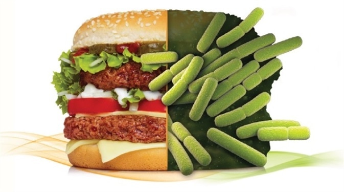 Promega DNA extraction from food samples