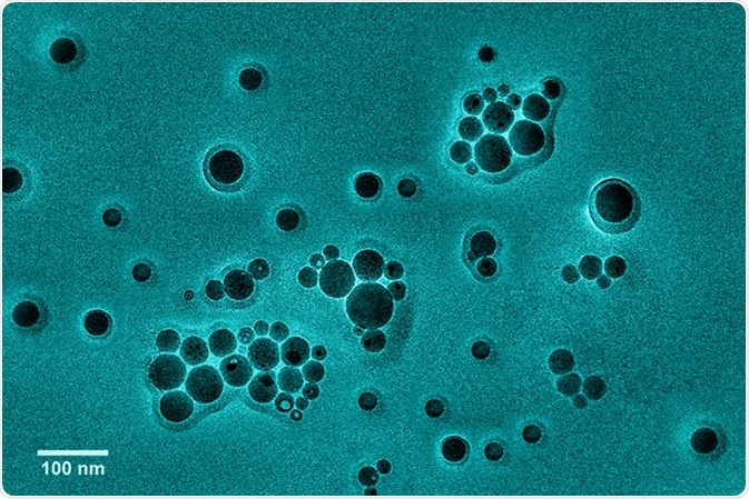 Cobalt nanoparticles covered by aluminum with a scale bar. Image Credit: Georgy Shafeev / Shutterstock