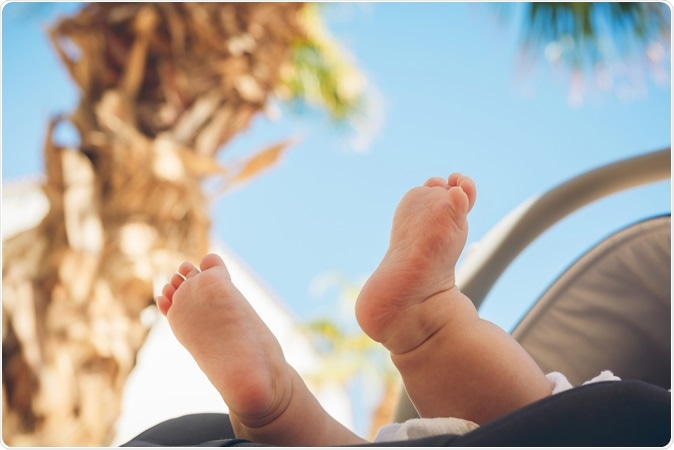 Image Credit: Mariia Smeshkova / Shutterstock