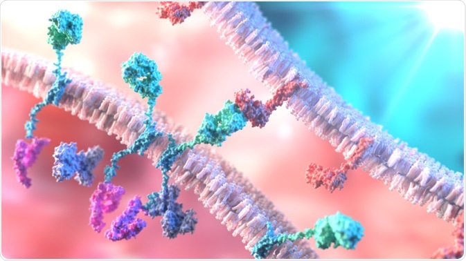 Example application of PMBCs: CAR-T cell therapy. An illustration by Alpha Tauri 3D Graphics