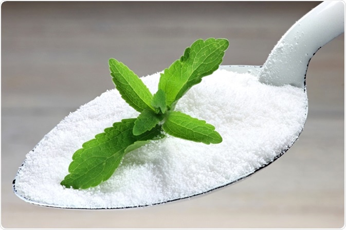 Alternative sweetener stevia. Image Credit: Bjoern Wylezich / Shutterstock