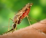 New leishmaniasis look-alike parasitic infection reported
