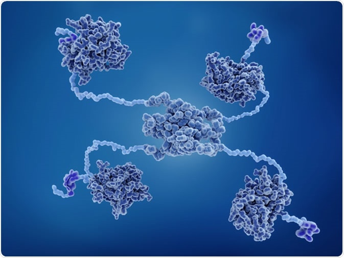 p53 tumor suppressor protein. Image Credit: Juan Gaertner / Shutterstock
