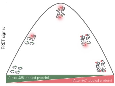 Assay Principle for FRET Job plot
