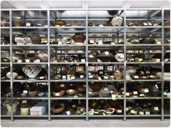 Heuneburg Early Celts from all social classes may have used local ceramics to consume Mediterranean wine