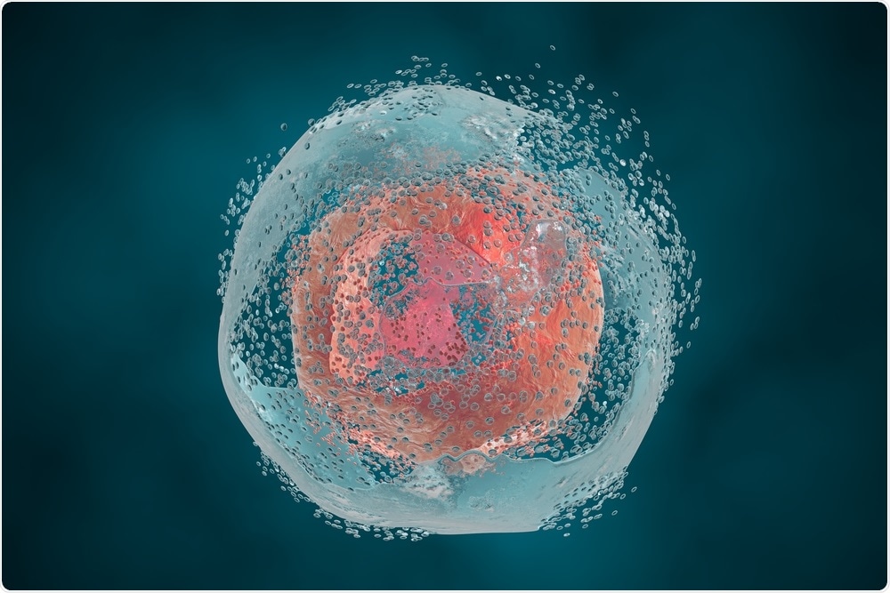 Apoptosis (cell death)