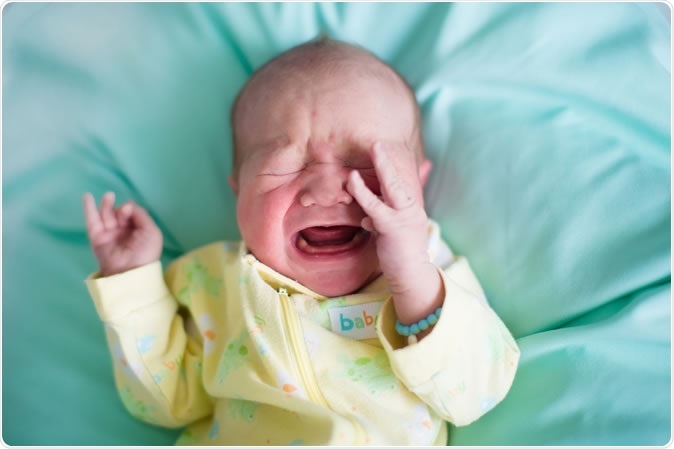 Image Credit: FamVeld / Shutterstock