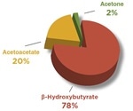 B-Hydroxybutyrate and Ketosis Overview