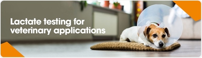 Veterinary Applications of Lactate Testing