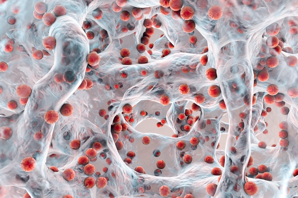 Image Credit: Kateryna Kon / Shutterstock.com