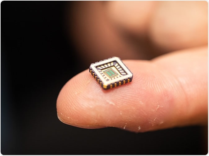 One of the tiny chips in its protective casing.