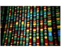 Human genetics evidence predictive of drug development success, study shows