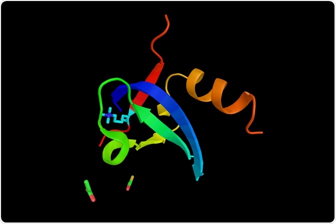 polycomb protein