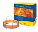 Capillary DB-CLP1 & DB-CLP2 GC Columns from Agilent
