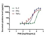 Simultaneous Measurement of T-Cell Activation via Proliferation, Cytokine Secretion and Differentiation