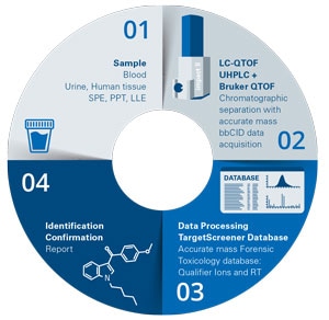 TargetScreener Workflow