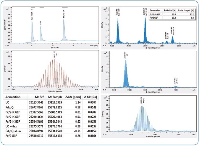 Subunit domain analysis of NIST antibody. Left from top, LC-MS TIC chromatogram, NIST LC acquired isotopic pattern (blue) overlaid with theoretical (red), table of results (abridged). Right from top, maximum entropy deconvoluted spectra for NIST Fc/2 (insert shows relative quantitation of lysine clipping), LC and Fd subunits.