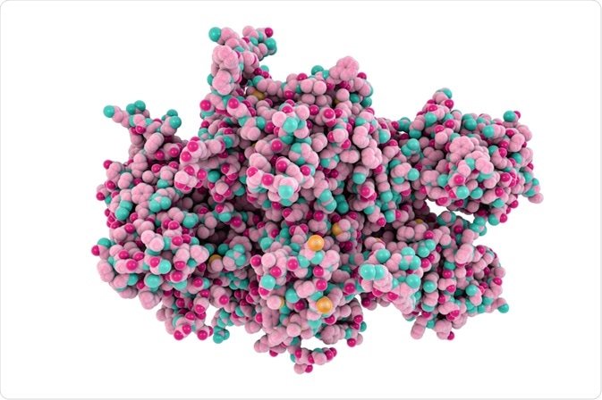 Recombinant proteins, such as clotting factors (shown here) can be produced using a number of host cells