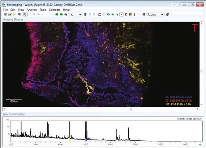 Complete Software Toolkit