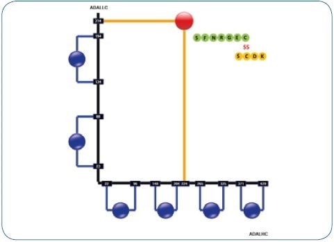 Resulting disulfide structure printout of a human IgG1 antibody (adalimumab) in the DisulfideDetect software. The disulfide bond is highlighted that links LC and HC. This particular site—together with the hinge di-peptide—is susceptible to trisulfide formation.