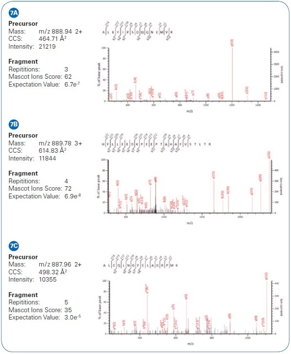 Example of low-intensity peptide matches from HeLa cell analysis via PASEF differ by only 2 Da. While their isotopic patterns overlap in m/ z, they are separated in the mobility dimension and the PASEF MS/MS results yield confident identifications.