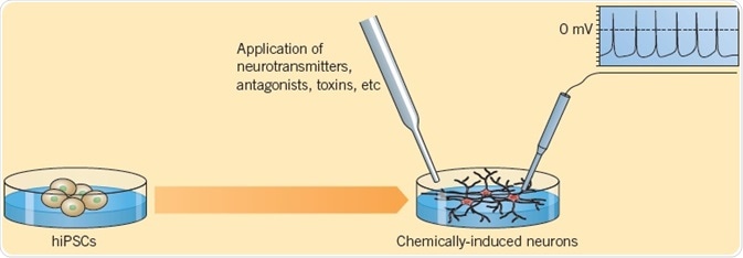 Telezhkin et al. (2016) explained the verification of functional neurons differentiated from iPSCs