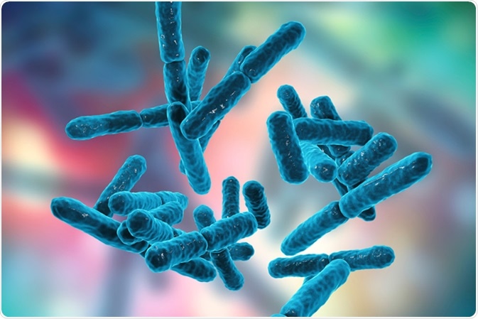 Bacteria Bifidobacterium, gram-positive anaerobic rod-shaped bacteria which are part of normal flora of human intestine are used as probiotics and in yoghurt production. 3D illustration. Credit: Kateryna Kon / Shutterstock