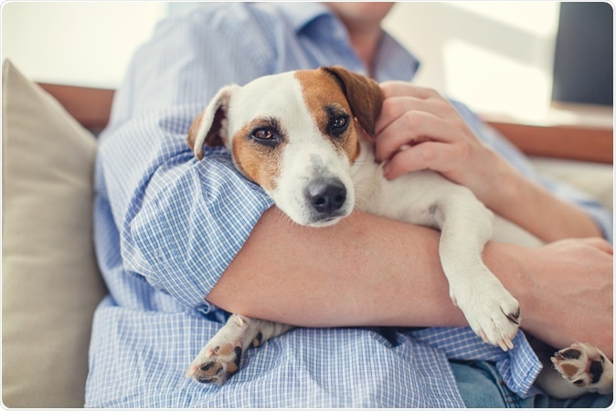 Image Credit: Gladskikh Tatiana / Shutterstock