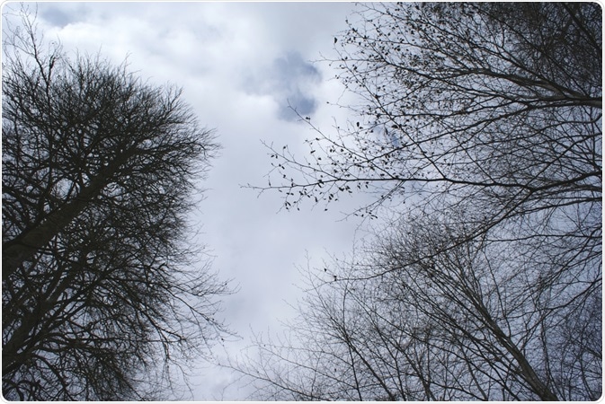 Seasonal affective disorder typically occurs in winter/fall months