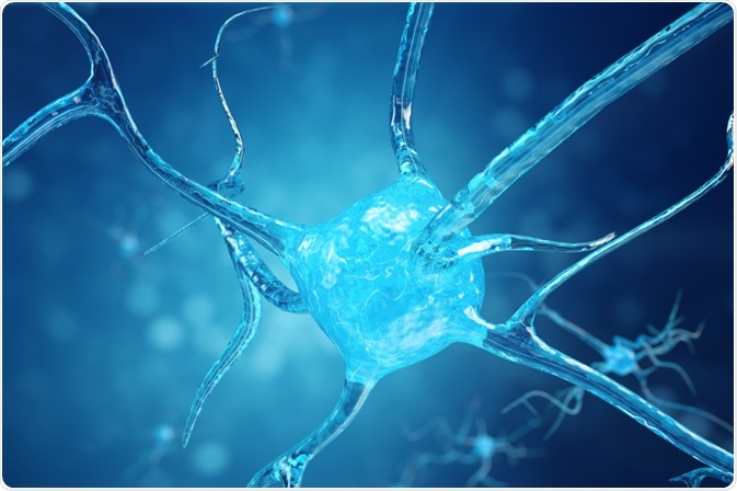 Connectomics is the study of the brain’s structural and functional connections between cells, which is visualized as a connectome.