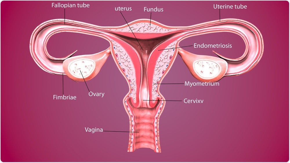 A new study has found that black women are