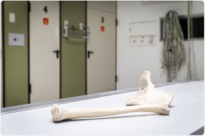 Micro-CT can be a useful complimentary method to histology in post-mortem examinations.