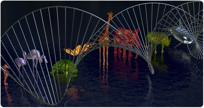 Comparative genomics is a field of biology where the genome of different species are compared to each other to understand evolutionary and molecular differences between species.