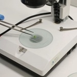 Analytical Chemistry and Medical Cannabis