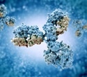 Genetic differences can affect the effectiveness of antibody therapies