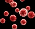 Scientists studying vaccinia virus, a relative of smallpox, have determined that a gene necessary for virus replication also has a key role in turning off inflammation