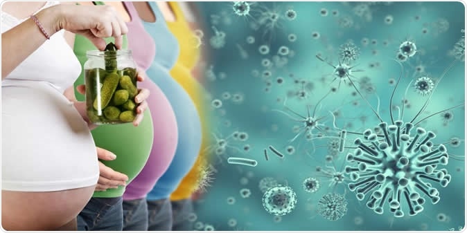 The Pregnancy Compensation Hypothesis suggests that evolution shaped men