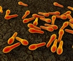 Researchers explore impact of various factors on increasing rates of Clostridium difficile infection
