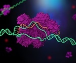CRISPR Cas12a3: A precise tool to halt viral protein production