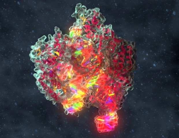 CRISPR-Cas3: A safer gene-editing tool shows promise for transthyretin amyloidosis treatment
